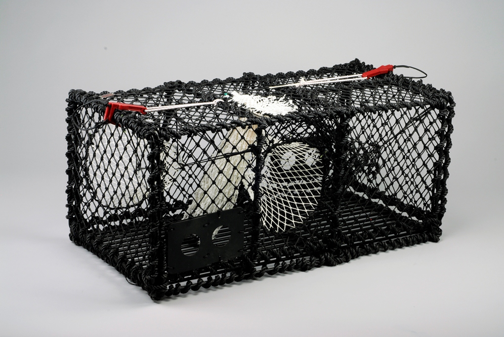 CARAPAX Total supplier for creel fishing Lobster Creel, rectangular
